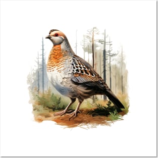 Partridge Posters and Art